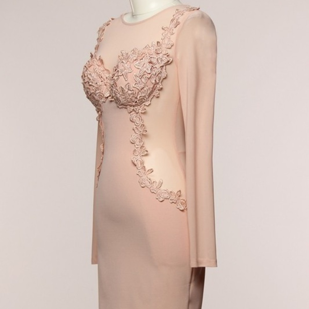 Entry Long Sleeve Blush Silhouette Dress